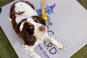 PupFestival2026-9836